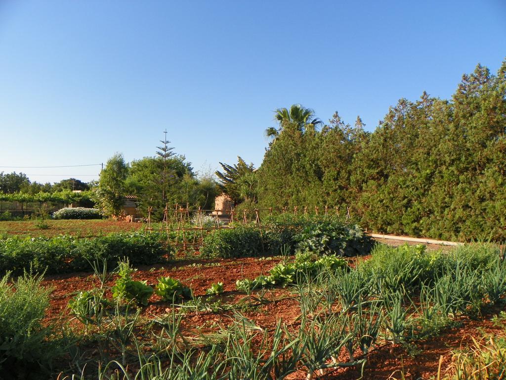 Agroturisme Can Bessol S'Horta Ngoại thất bức ảnh