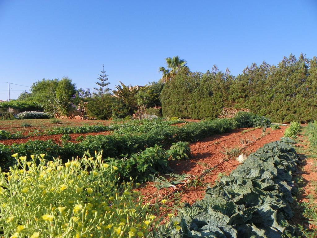 Agroturisme Can Bessol S'Horta Ngoại thất bức ảnh